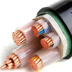 安徽bpyjvp1變頻器專用電纜廠家 為電力系統(tǒng)穩(wěn)定運(yùn)行提供可靠保障