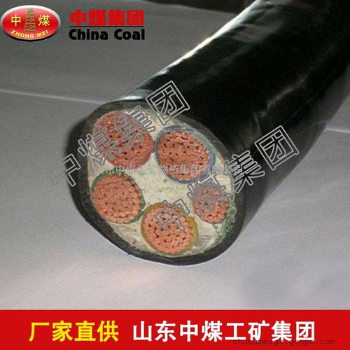 電力電纜 可靠動(dòng)力傳輸?shù)暮诵模咔宕髨D揭秘火爆上市產(chǎn)品